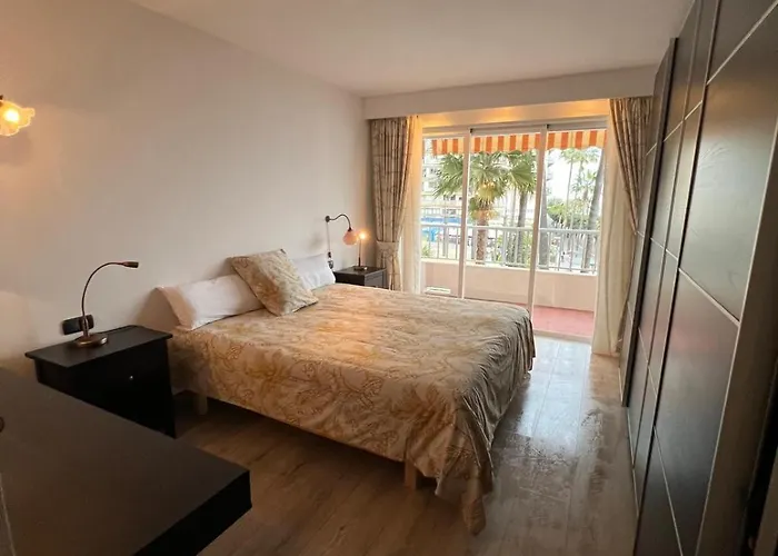 Palmas 2 *