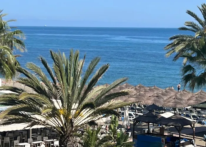 Palmas 2